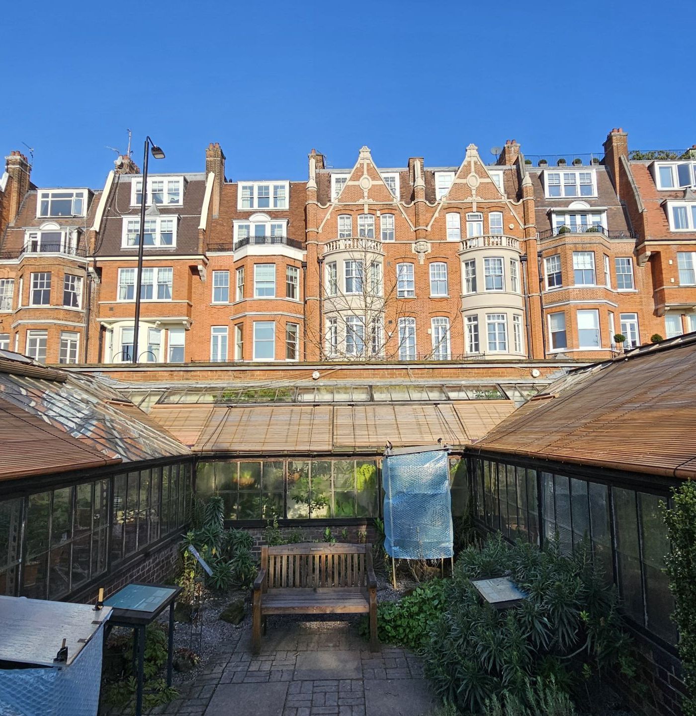 Traditional Cedar Shades – Chelsea Physic Garden